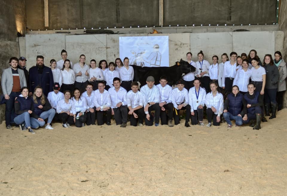 Cibeins Showmanship :  journée d’initiation au concours de jeune meneur