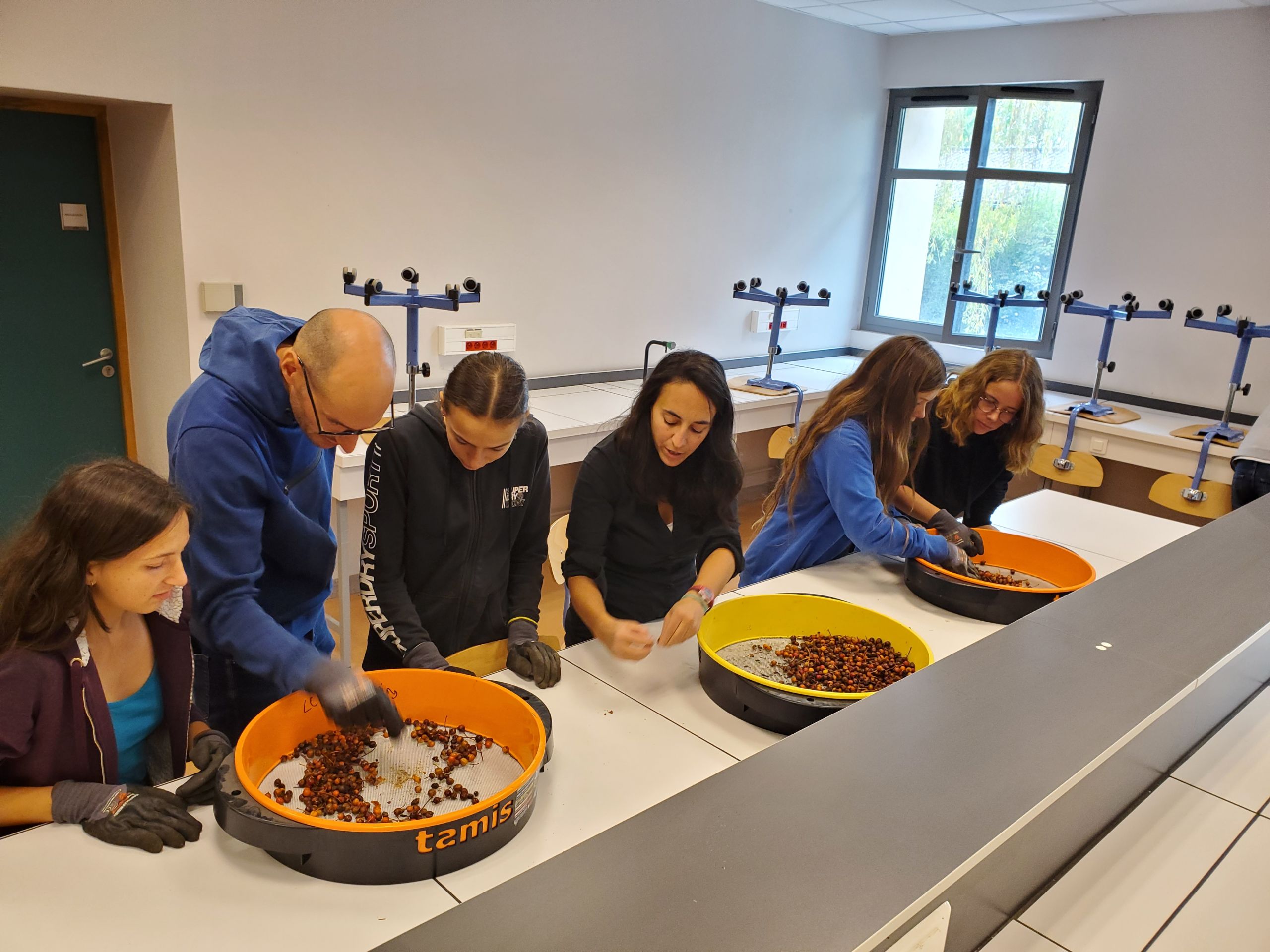 Atelier dépulpage pour la classe de 2nde GT “Sciences et Nature”
